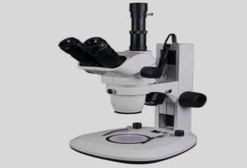 Stereo Microscope